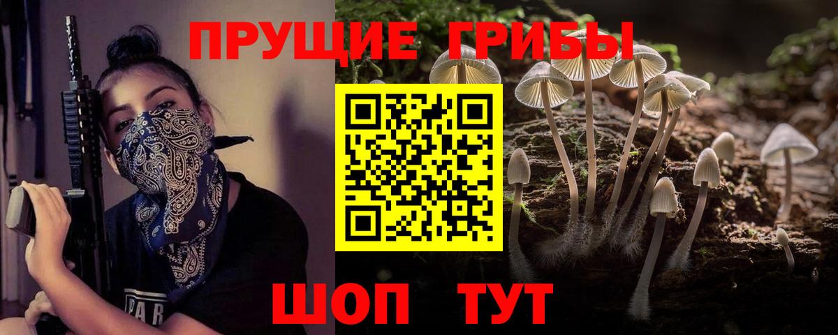 Галлюциногенные грибы мицелий Печора