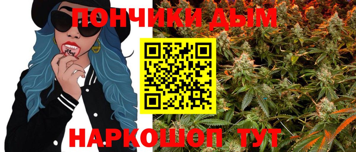 Каннабис планчик Печора